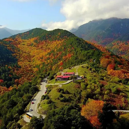 χαμένος στον παράδεισο Daire Kateríni