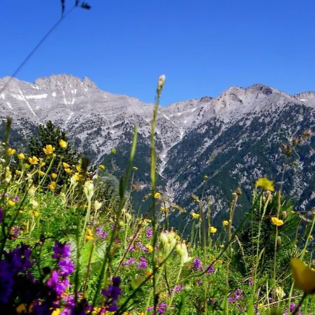 χαμένος στον παράδεισο Lejlighed Kateríni