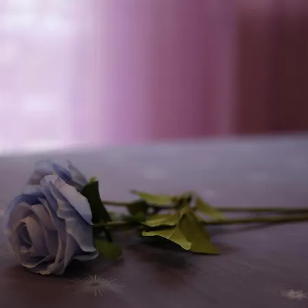 Lägenhet χαμένος στον παράδεισο